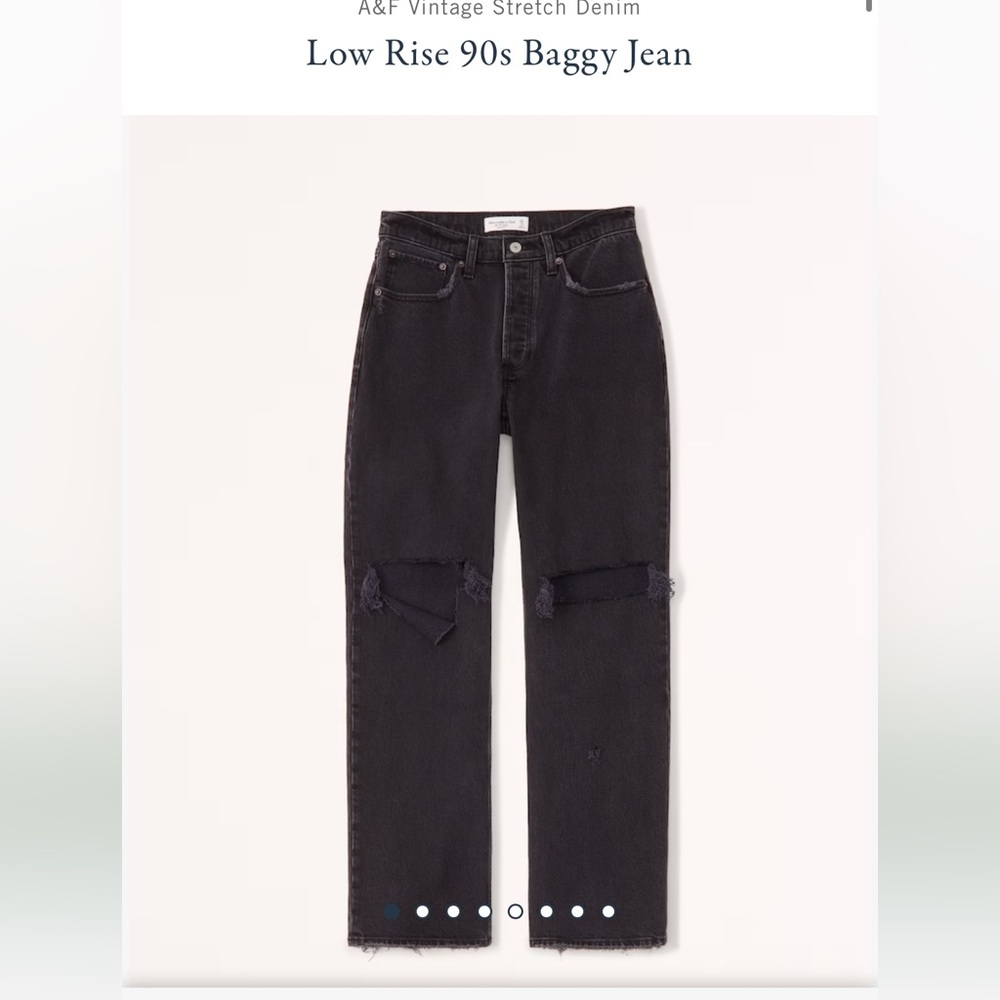 Abercrombie 90s Baggy Low Rise NWT